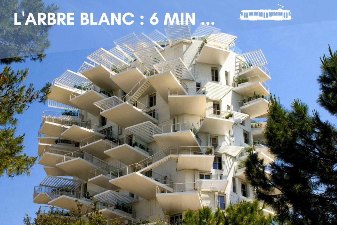 Nouveau - Jungle Montpeul - Clim - Wifi Fibre - Netflix - 5' Du Centre Et Gare - Parking - Loggia - 15' Des Plages มงต์เปอลิเยร์ ภายนอก รูปภาพ